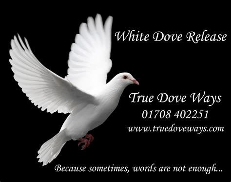 Doves For Funerals Prices
